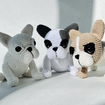 French Bulldog Puppy