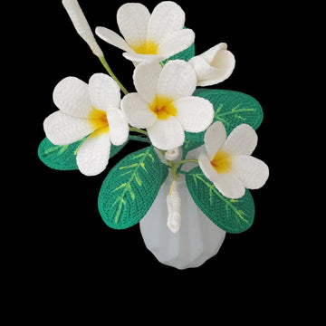 Crochet Plumeria flowers pattern