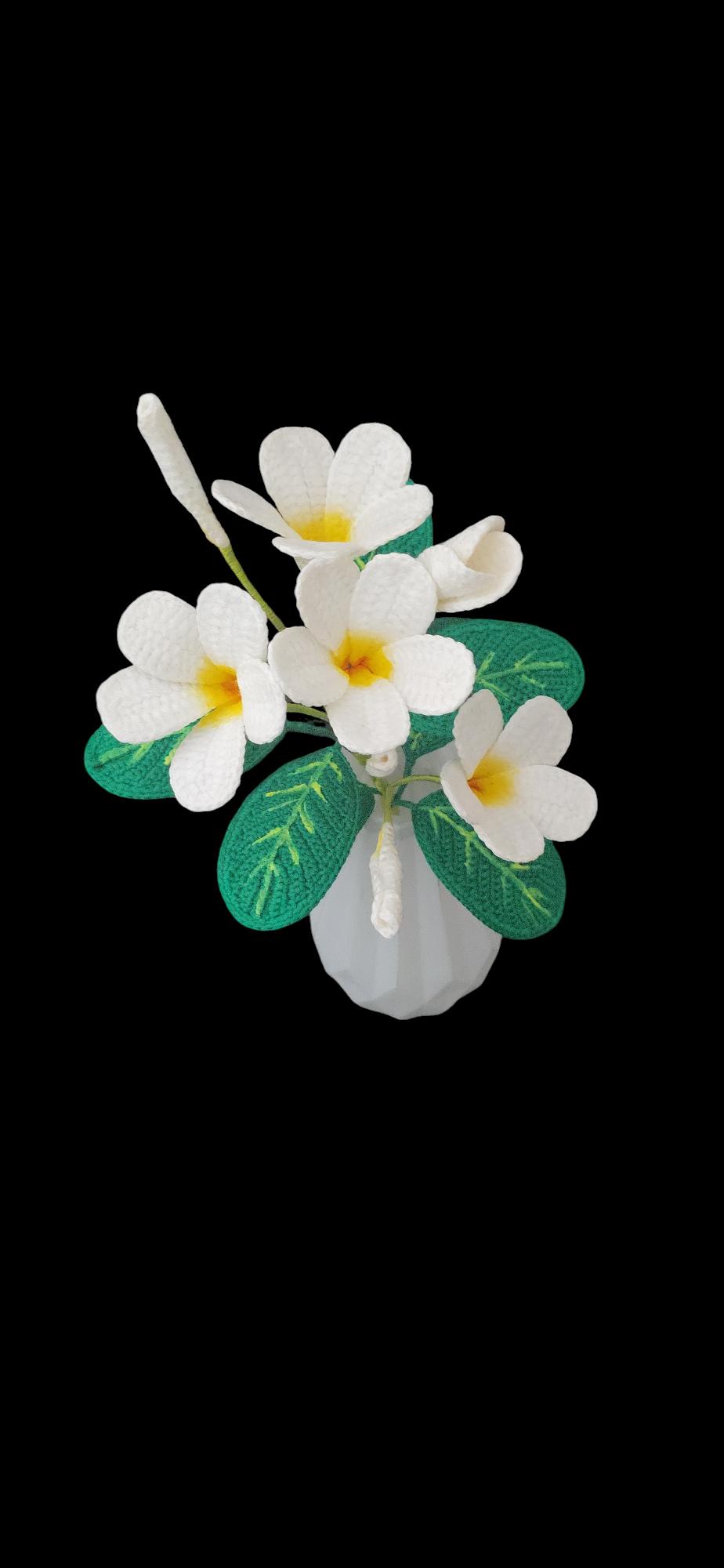 Crochet Plumeria flowers pattern