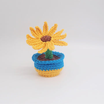 Ukraine Sunflower