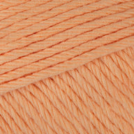 Apricot (070)