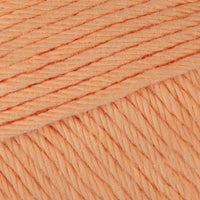 Apricot (070)