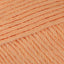 Apricot (070)