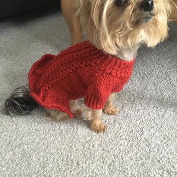 Blue Knitted Dress for Dogs