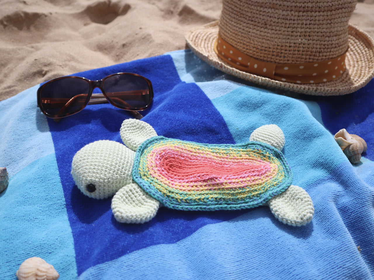Turtle Sunglasses Case