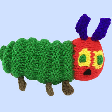 Caterpillars, butterfly, cocoon and food