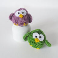 Little Owl