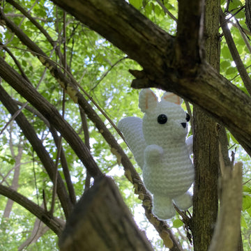 White Squirrel