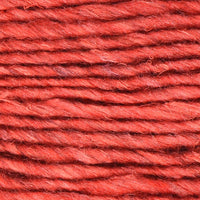 Cardinal (39)