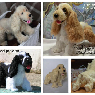 104 Cocker Spaniel dog