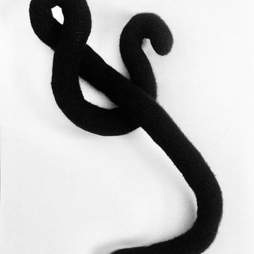 Giant Ebola Virus