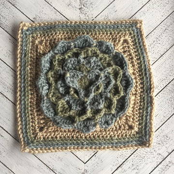 Succulent Square
