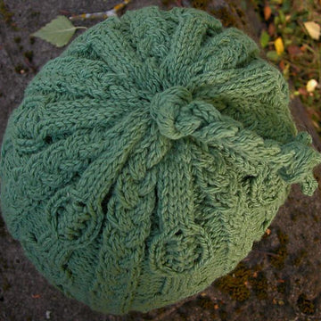 Banjos & Braids Hat