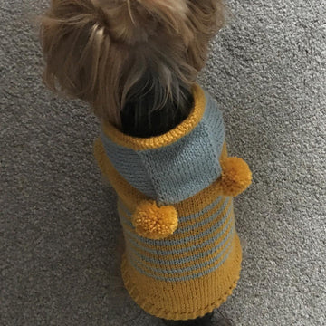 Hooded Sweater for Dogs