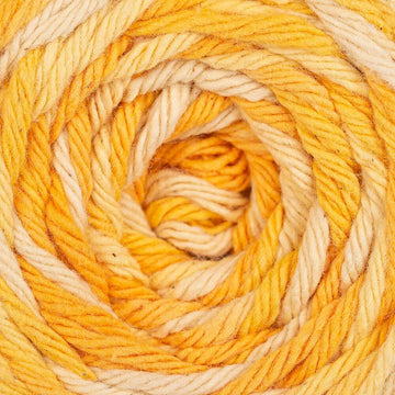 Vanilla Spice (450)