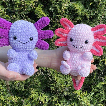 Little Axolotl