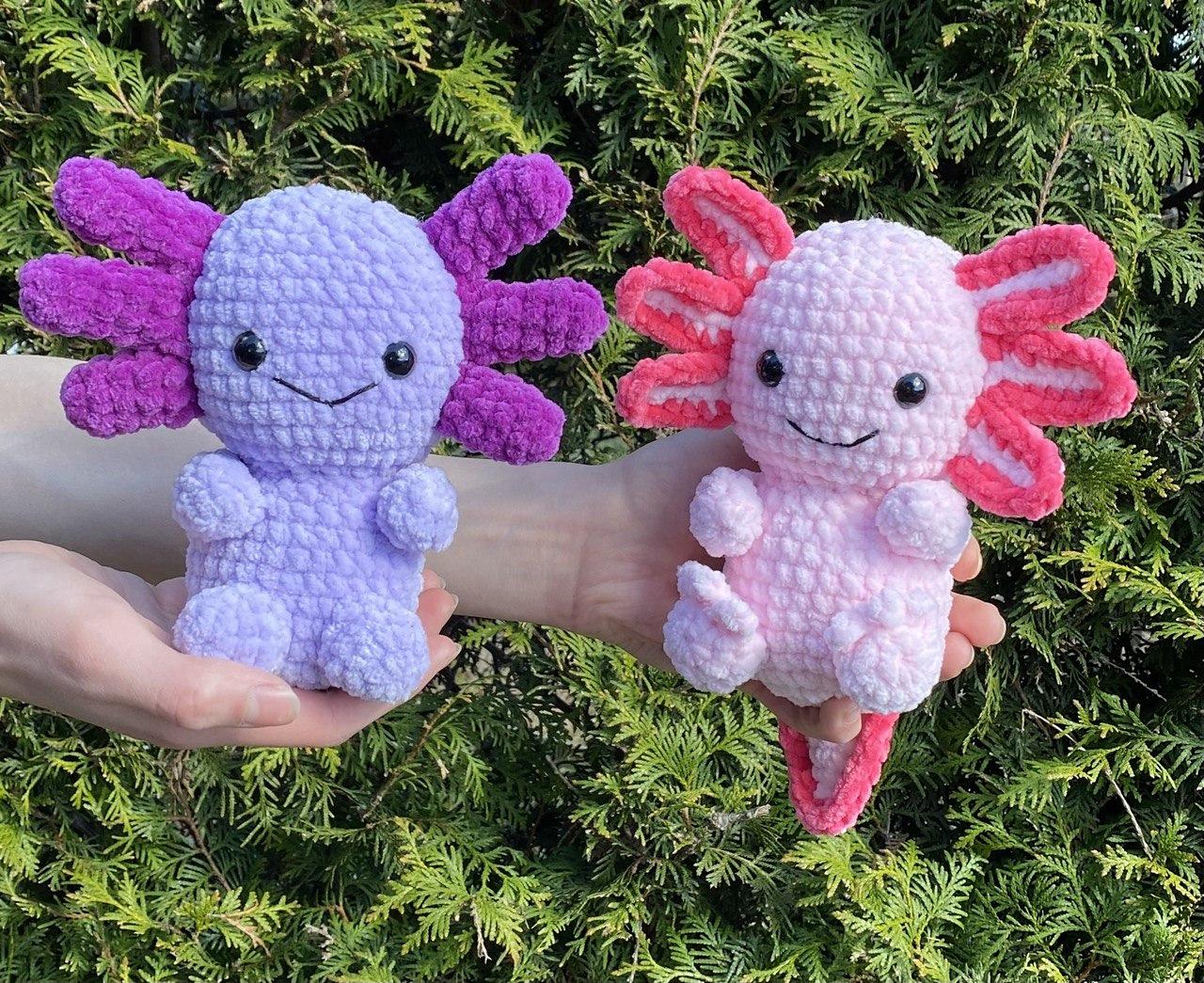 Little Axolotl