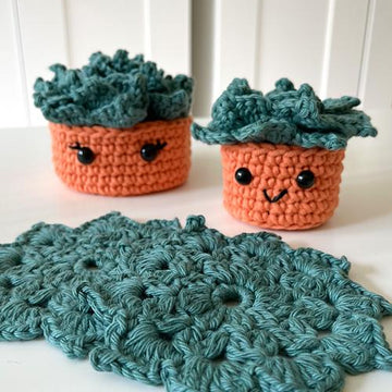 #358 Succulent Coaster Set