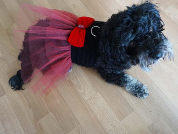 Häkelanleitung Hundegeschirr mit Tüllkleid