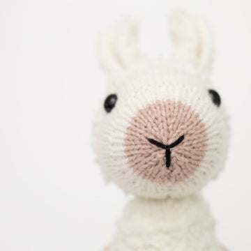 Lowri the Llama
