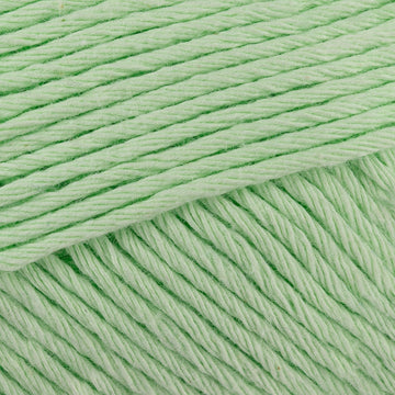 Pastel green  (685)