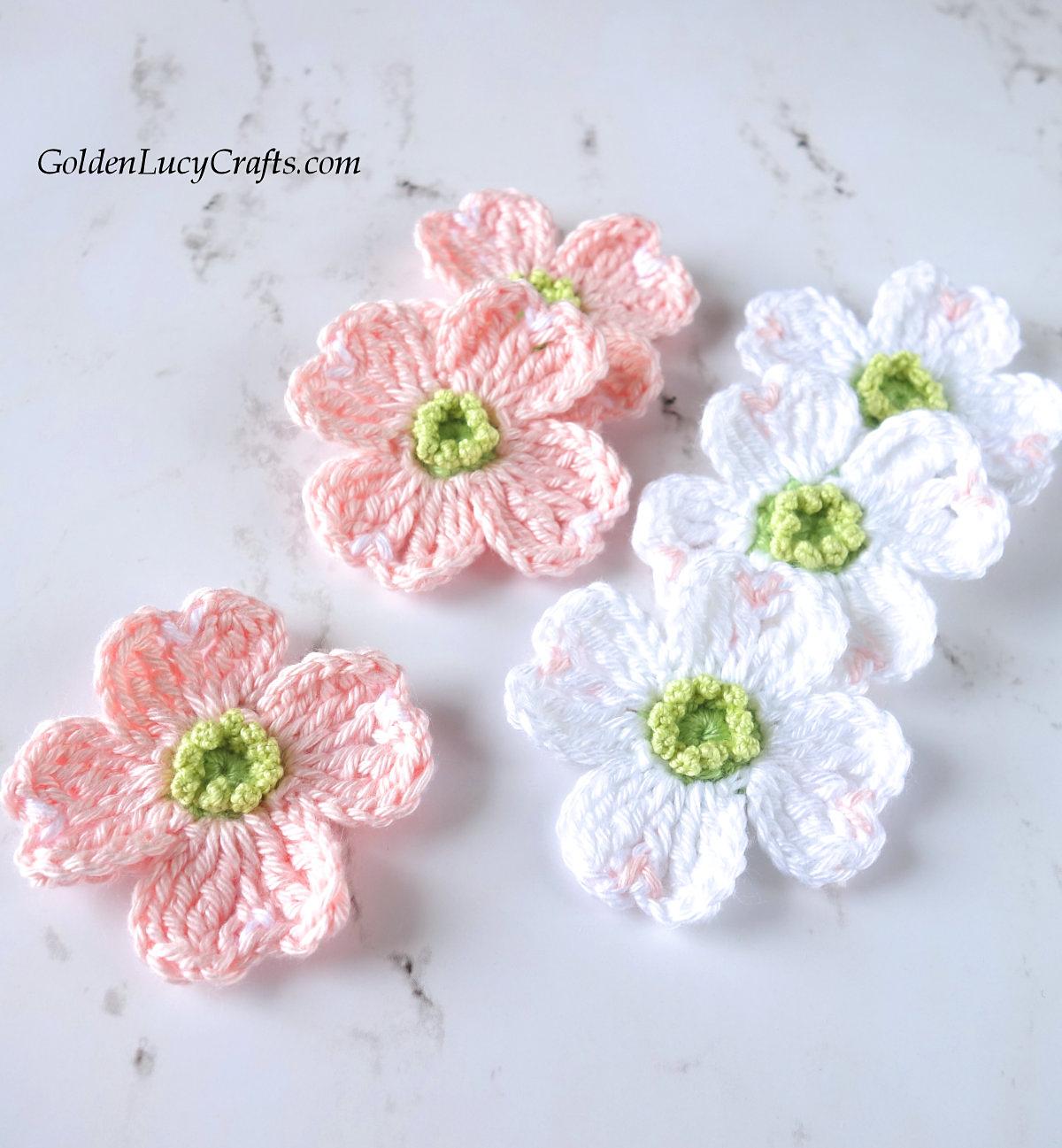 Dogwood Flower