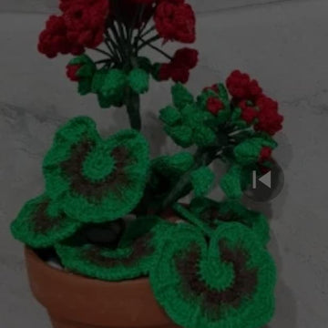 Crochet Geranium Flowers