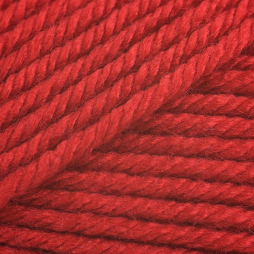 Race Car Red (312)