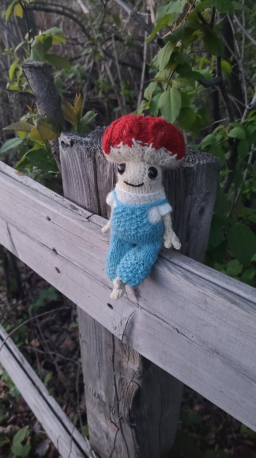 Folklore Collection: Micah the Mushroom