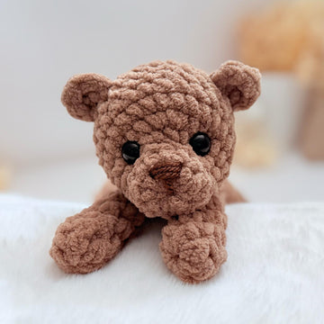 Bear Snuggle Buddy