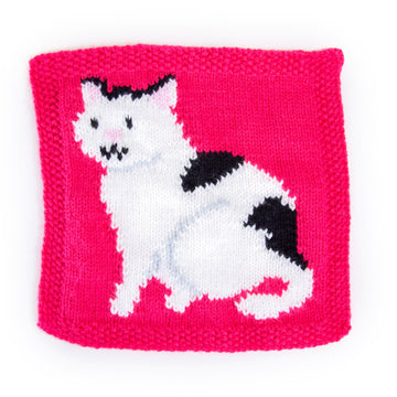 Ray Blanket for Battersea