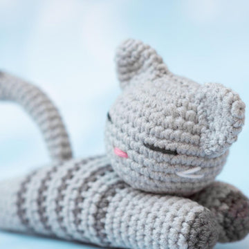 Sleeping kitten