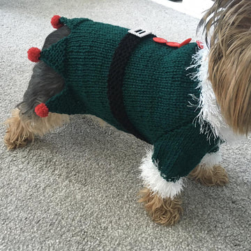 Christmas Elf Dog Costume