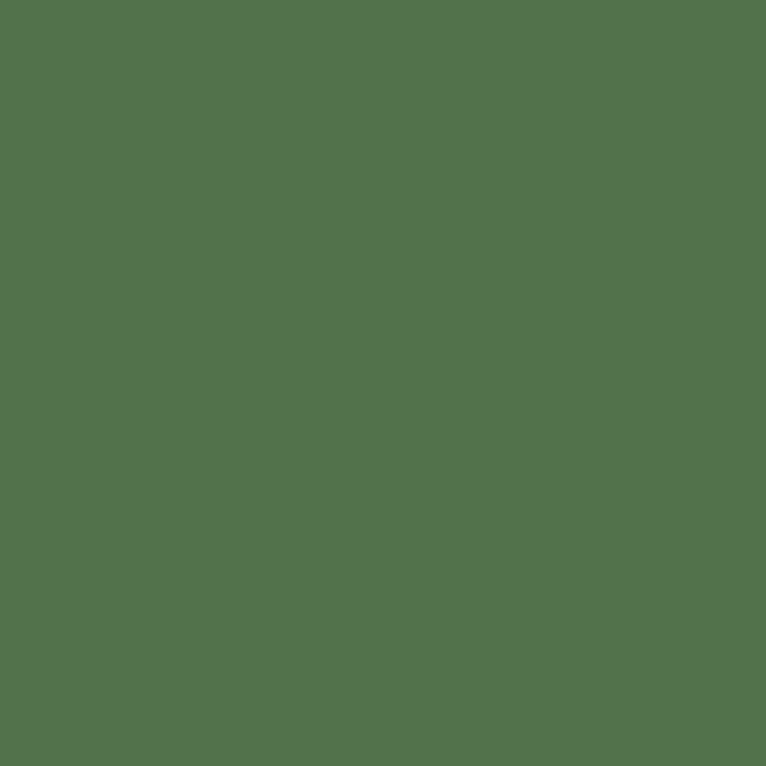 Cricut Infusible Ink Transfer Sheet 12"X12" 2/Pkg - Tropical Palm