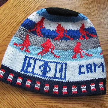 Ice hockey beanie