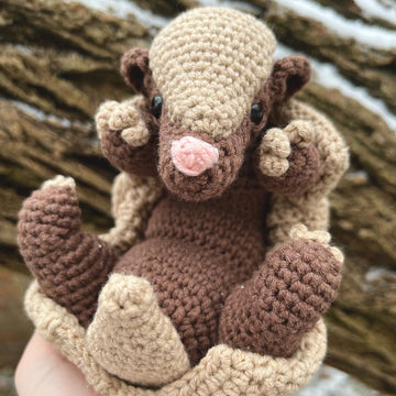 Armadillo