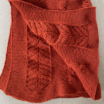 Reversible Cable and Lace Baby Blanket BJ87