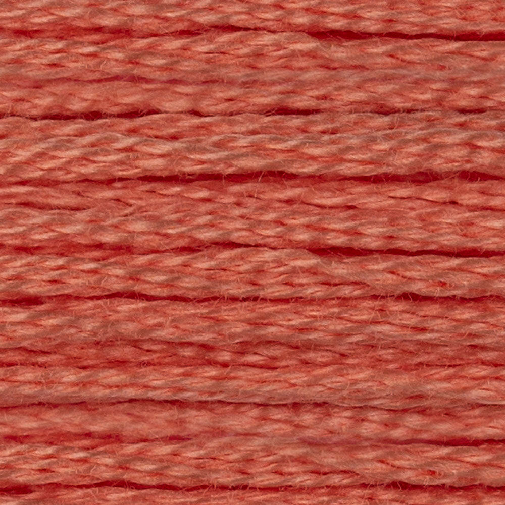 DMC Stranded Cotton - Warm Shades
