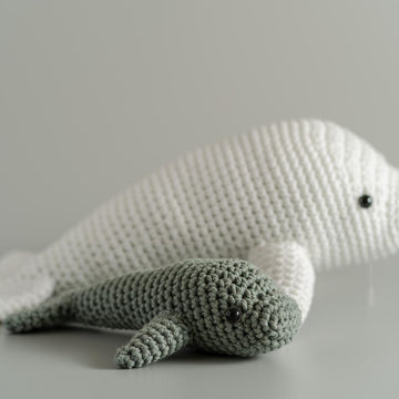 Betty the Beluga
