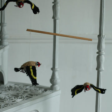 Charming Goldfinch