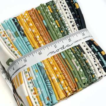 Moda Fabrics ABC XYZ Fat Quarter Bundle