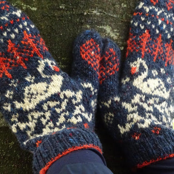 Wild Swans at Coole Mittens