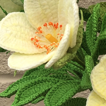 Rugosa Rose Crochet Pattern