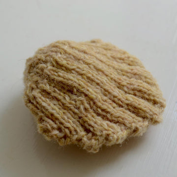 Cockle Shell