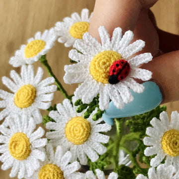 Chamomile flower and ladybug