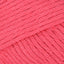 Fuchsia (13)