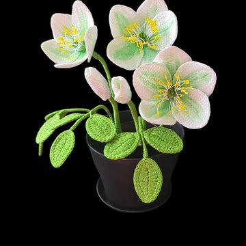 Crochet Hellebore flower