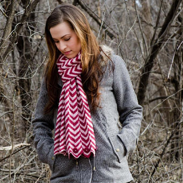 Gazania Scarf