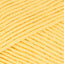Lemon (3199)
