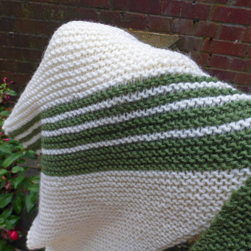Sylvia's Shawl